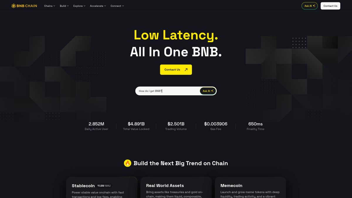 Screenshot of the BNB Chain website homepage